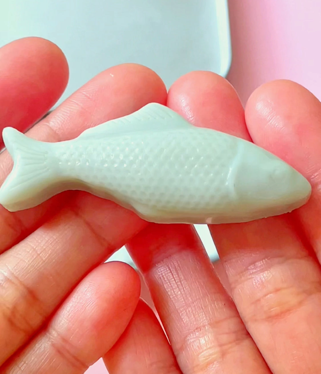 Sardines Soap