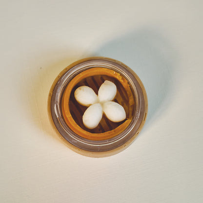 Dumpling Lip Balm in Steam Basket (PRE-ORDER)