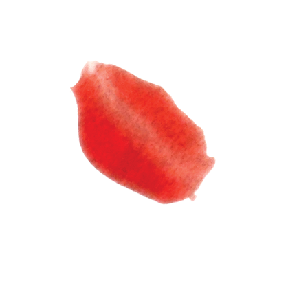 Asian Hot Sauce Lip Gloss - Lipracha